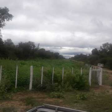 Campo Ganadero en Las Carpas, Chaco