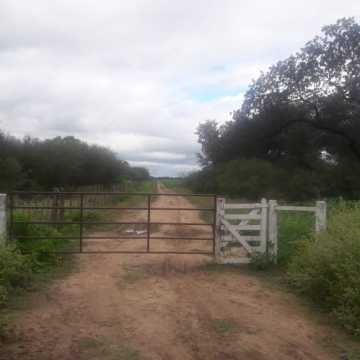 Campo Ganadero en Las Carpas, Chaco
