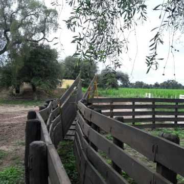 Campo Ganadero en Las Carpas, Chaco