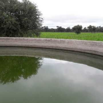Campo Ganadero en Las Carpas, Chaco