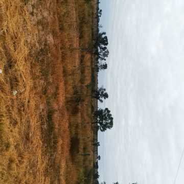 Campo Ganadero San Pedro de Choya, Santiago del Estero