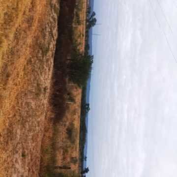 Campo Ganadero San Pedro de Choya, Santiago del Estero