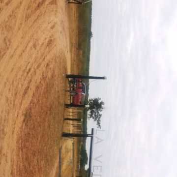 Campo Ganadero San Pedro de Choya, Santiago del Estero