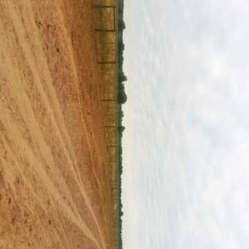 Campo Ganadero San Pedro de Choya, Santiago del Estero