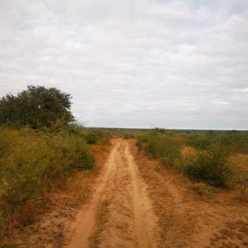 Campo Ganadero San Pedro de Choya, Santiago del Estero