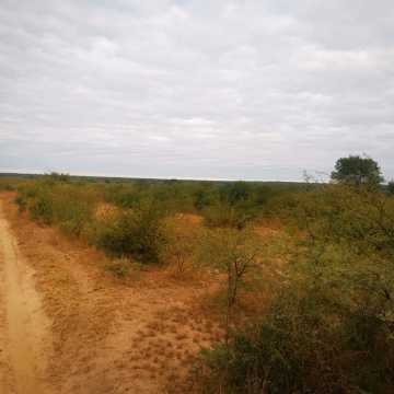 Campo Ganadero San Pedro de Choya, Santiago del Estero