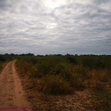 Campo Ganadero San Pedro de Choya, Santiago del Estero