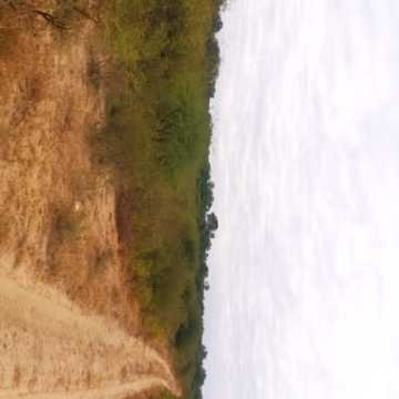 Campo Ganadero San Pedro de Choya, Santiago del Estero