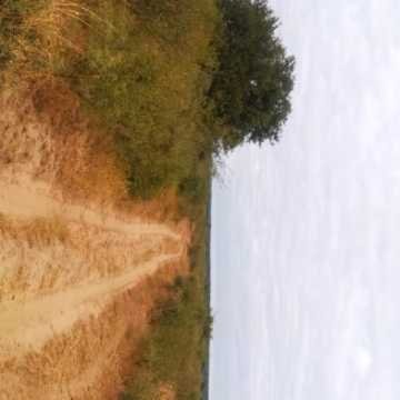 Campo Ganadero San Pedro de Choya, Santiago del Estero