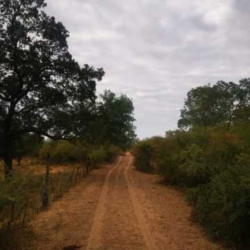 Campo Ganadero San Pedro de Choya, Santiago del Estero