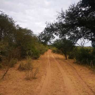 Campo Ganadero San Pedro de Choya, Santiago del Estero