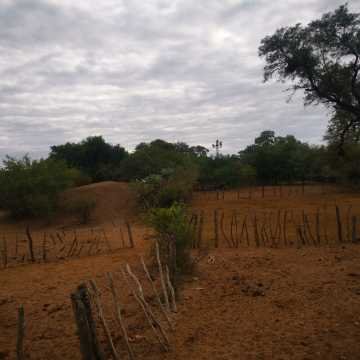 Campo Ganadero San Pedro de Choya, Santiago del Estero