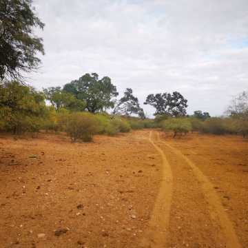 Campo Ganadero San Pedro de Choya, Santiago del Estero