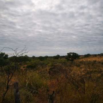 Campo Ganadero San Pedro de Choya, Santiago del Estero
