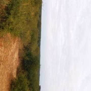 Campo Ganadero San Pedro de Choya, Santiago del Estero