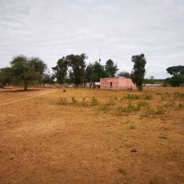 Campo Ganadero San Pedro de Choya, Santiago del Estero