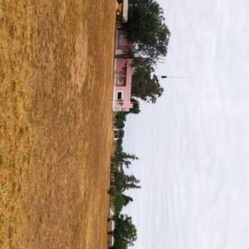 Campo Ganadero San Pedro de Choya, Santiago del Estero