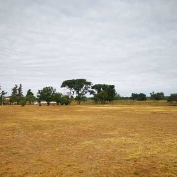 Campo Ganadero San Pedro de Choya, Santiago del Estero