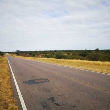 Campo Ganadero San Pedro de Choya, Santiago del Estero