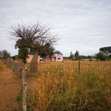 Campo Ganadero San Pedro de Choya, Santiago del Estero