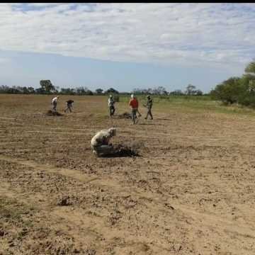 Desmonte Manual, Postdesmonte, Alambrados