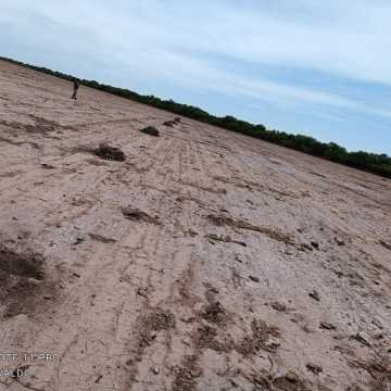 Desmonte Manual, Postdesmonte, Alambrados