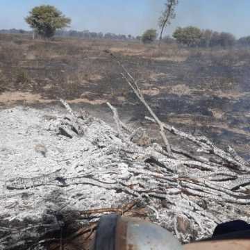 Desmonte Manual, Postdesmonte, Alambrados