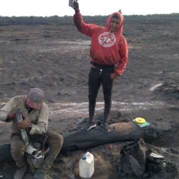 Desmonte Manual, Postdesmonte, Alambrados