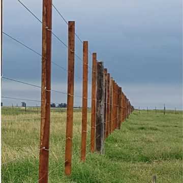 Desmonte Manual, Postdesmonte, Alambrados