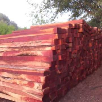 Durmientes de quebracho colorado y quebracho blanco