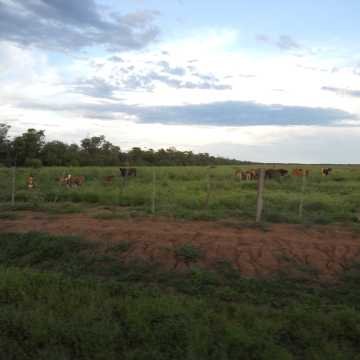 Campo Agrícola, Campo Durán, Salta