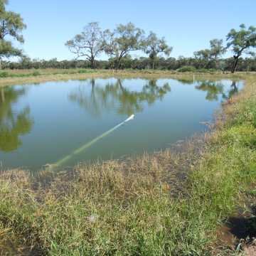 Campo Agrícola, Campo Durán, Salta
