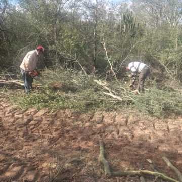 Campo Mixto en Figueroa, Santiago del Estero