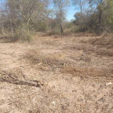 Campo Mixto en Figueroa, Santiago del Estero