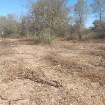 Campo Mixto en Figueroa, Santiago del Estero