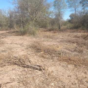 Campo Mixto en Figueroa, Santiago del Estero