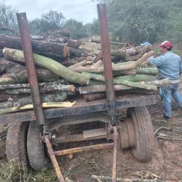 Campo Mixto en Figueroa, Santiago del Estero
