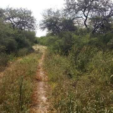 Campo Ganadero en Figueroa, Santiago del Estero