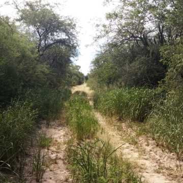 Campo Ganadero en Figueroa, Santiago del Estero