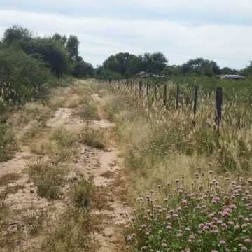 Campo Ganadero en Figueroa, Santiago del Estero