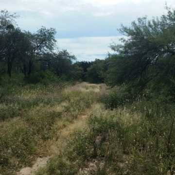 Campo Ganadero en Figueroa, Santiago del Estero