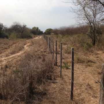 Campo Ganadero en Figueroa, Santiago del Estero