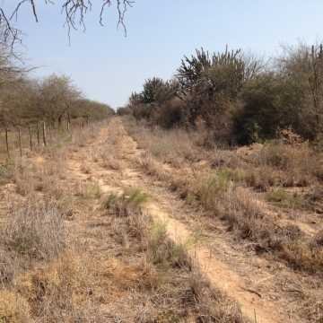 Campo Ganadero en Figueroa, Santiago del Estero
