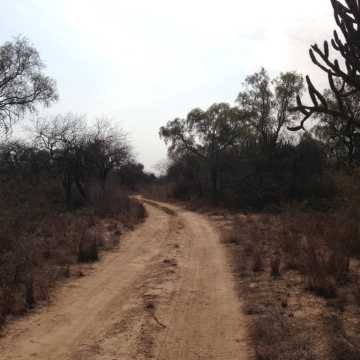 Campo Ganadero en Figueroa, Santiago del Estero