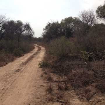 Campo Ganadero en Figueroa, Santiago del Estero