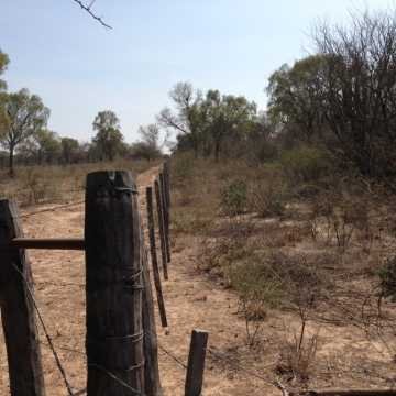 Campo Ganadero en Figueroa, Santiago del Estero