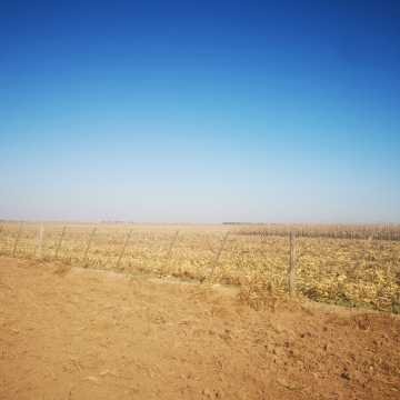 Campo Agrícola en Alberdi, Santiago del Estero