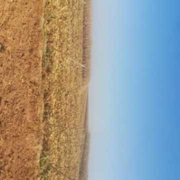 Campo Agrícola en Alberdi, Santiago del Estero