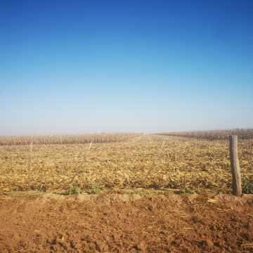 Campo Agrícola en Alberdi, Santiago del Estero