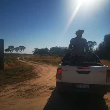 Campo Agrícola en Alberdi, Santiago del Estero